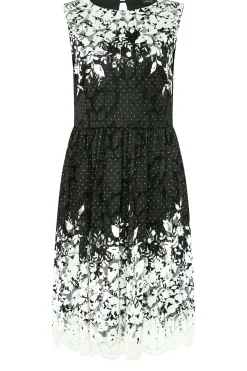 M&Co Womens Black Lace Border Midi Dress><noscript><img width=