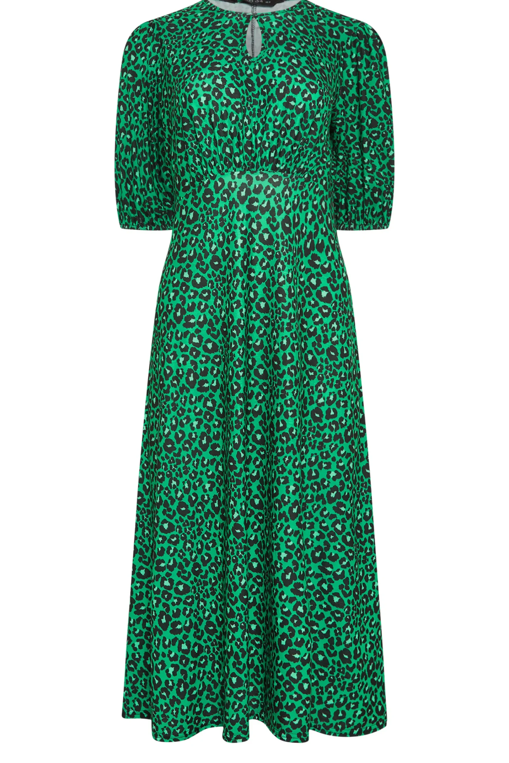 M&Co Womens Green Animal Print Dress>Women Midi Dresses