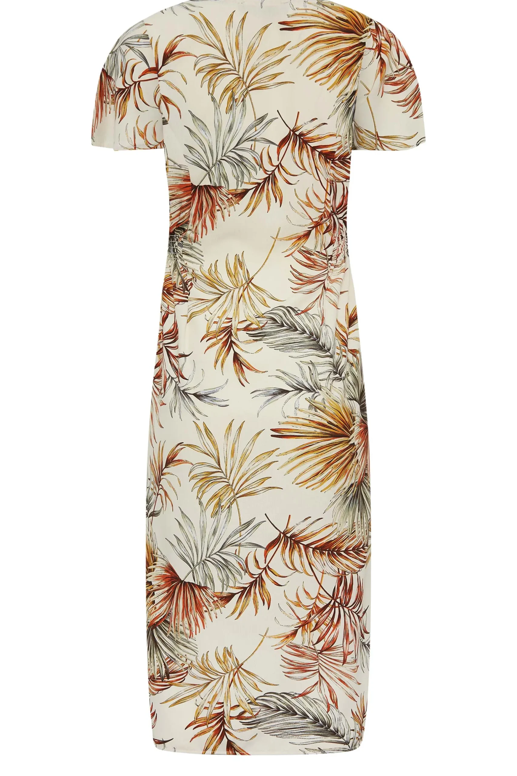 M&Co Womens Natural Brown Tropical Print Shirred Waist Midi Dress>Women Wedding Guest Dresses
