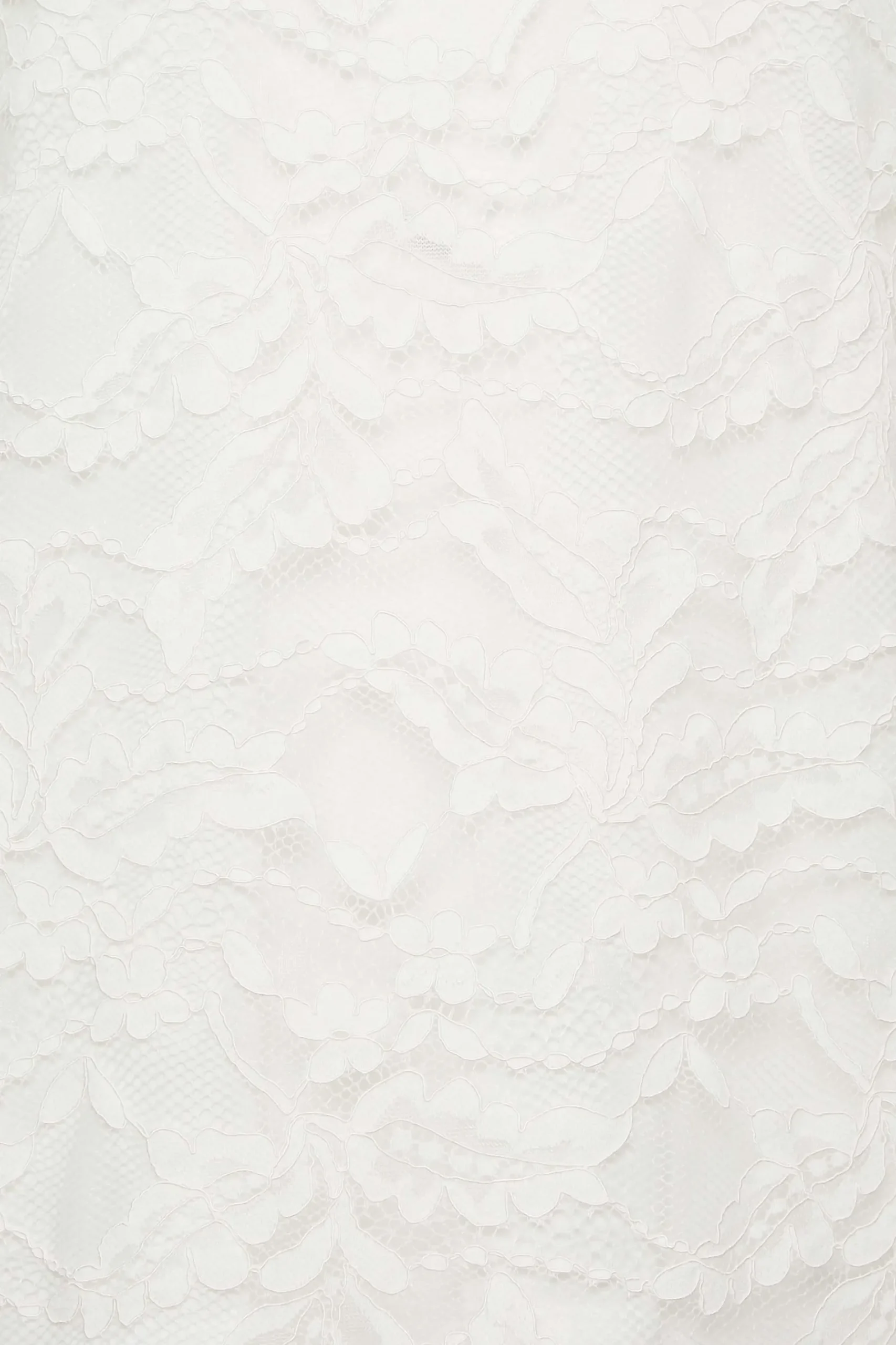 M&Co Womens White Lace Floral Blouse>Women Short Sleeve Tops