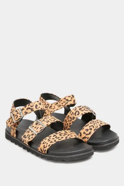 M&Co Yours Yours Black Leopard Print Buckle Sandals In Extra Wide Eee Fit>Women Flat Shoes