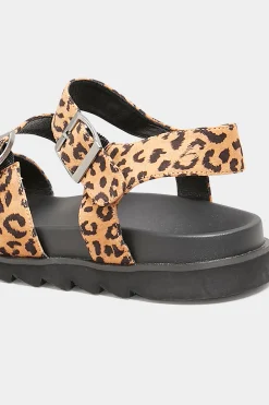 M&Co Yours Yours Black Leopard Print Buckle Sandals In Extra Wide Eee Fit><noscript><img width=