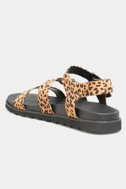M&Co Yours Yours Black Leopard Print Buckle Sandals In Extra Wide Eee Fit><noscript><img width=